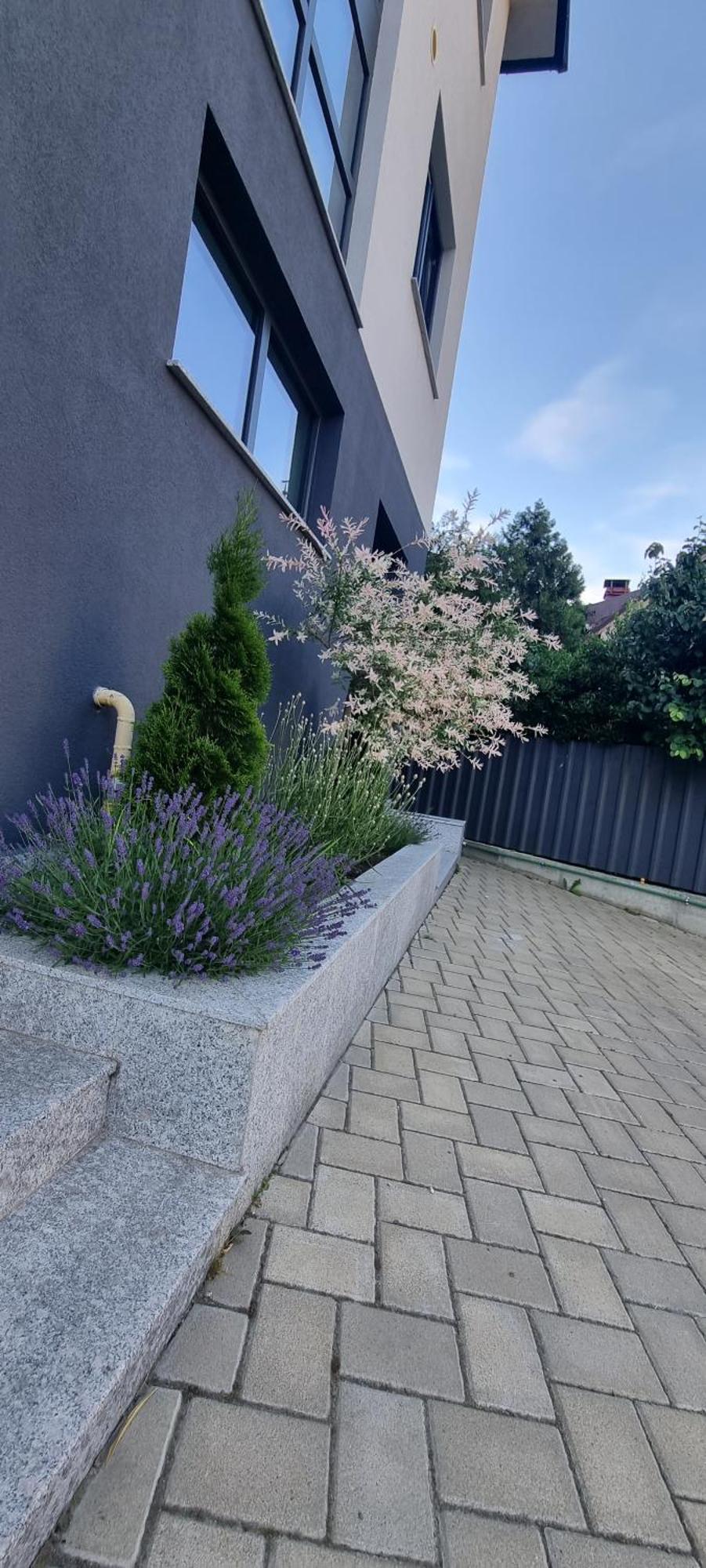 Yla Studio- Piatra Neamţ Extérieur photo